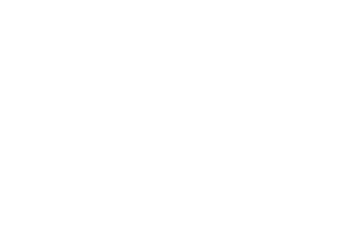 綾瀬はるか　大沢一菜　伊佐山ひろ子　高良健吾　原田琥之佑　大西力　松浦伸也／河井青葉　渡辺美佐子／市川実日子　監督・脚本：森井勇佑　主題歌：「Mirror」Bialystocks（IRORI Records / PONY CANYON）　原作：中尾太一「ルート２９、解放」（書肆子午線刊）　製作：東京テアトル　U -NEXT 　ホリプロ　ハーベストフィルム　リトルモア　配給：東京テアトル　リトルモア　©︎2024「ルート29」製作委員会